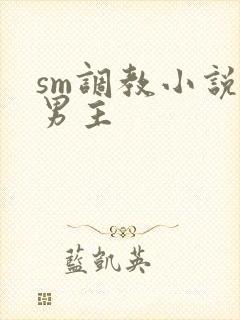 sm调教小说双男主封面