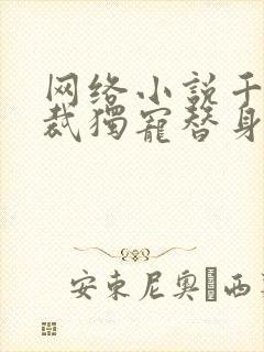 网络小说千亿总裁独宠替身娇妻