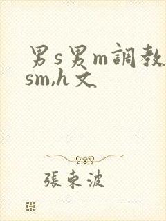 男s男m调教(sm,h文