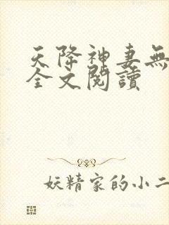天降神妻无删减全文阅读