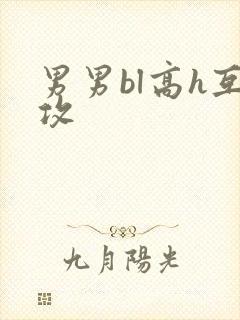 男男bl高h互攻