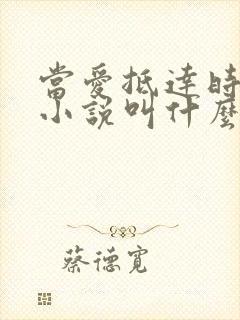 当爱抵达时原著小说叫什么
