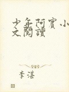 少年阿宾小说全文阅读封面