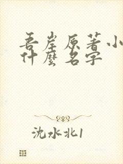 吾岸原著小说叫什么名字