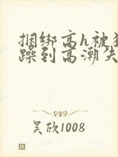 捆绑高h被狂c躁到高潮失禁视频