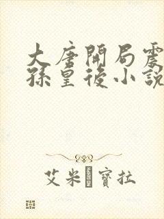 大唐开局震惊长孙皇后小说阅读全文