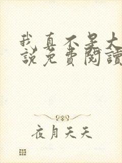 我真不是大佬小说免费阅读