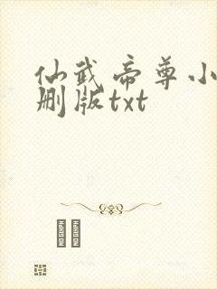 仙武帝尊小说未删版txt