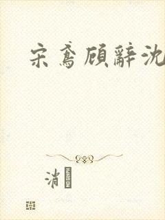 宋鸢顾辞沈煜安封面