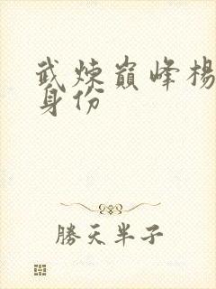 武炼巅峰杨开的身份