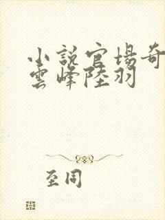 小说官场奇才刘云峰陆羽