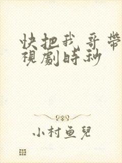 快把我哥带走电视剧时秒封面