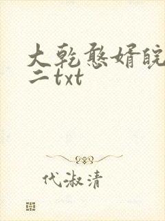 大乾憨婿皖南牛二txt