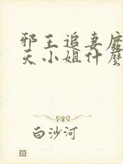 邪王追妻废材逆天小姐什么时候写的