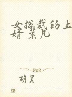 女总裁的上门女婿 叶凡