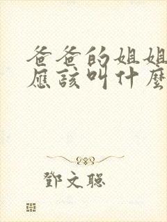 爸爸的姐姐老公应该叫什么封面