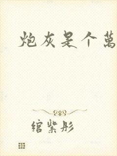 炮灰是个万人迷封面