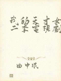 我的天才女友第二季电视剧