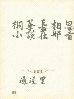 桐华长相思原著小说在哪看封面