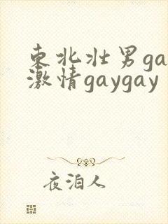 东北壮男gay激情gaygay封面