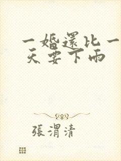 一婚还比一婚高 天要下雨封面