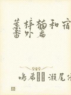 叶梓楠和宿琦的番外篇