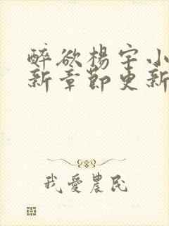 醉欲杨宇小说最新章节更新内容