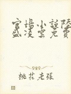 官场小说陆羽与盛凌云免费阅读