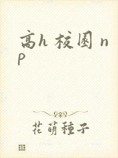 高h 校园 np封面