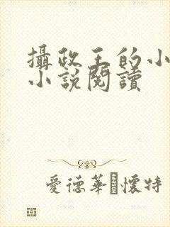 摄政王的小闲妻小说阅读