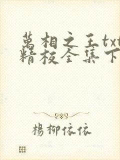 万相之王txt精校全集下载