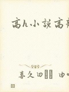 高h小说高辣封面