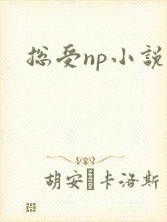 总受np小说h