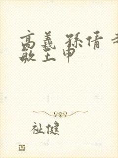 高义 孙倩 赵敏王申封面