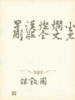 星汉灿烂小说未删版全文免费阅读