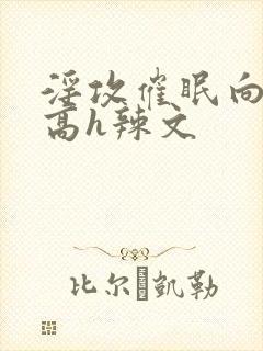 淫攻催眠向np高h辣文