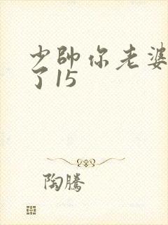 少帅你老婆又跑了15封面