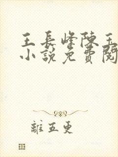 王长峰陈玉娆的小说免费阅读无弹窗封面