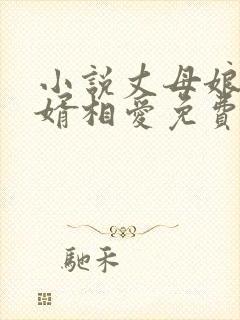 小说丈母娘和女婿相爱免费阅读