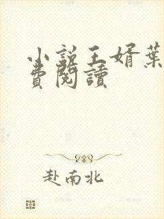 小说王婿叶凡免费阅读