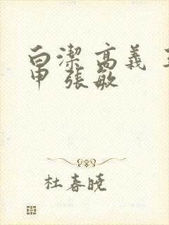 白洁 高义 王申 张敏封面