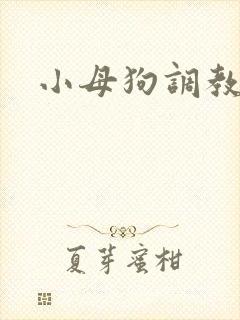 小母狗调教h