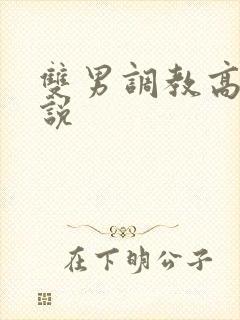 双男调教高h小说