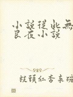 小说从此无心爱良夜小说