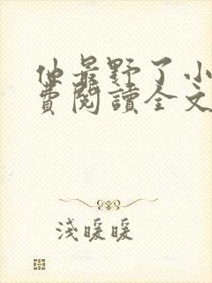 他最野了小说免费阅读全文