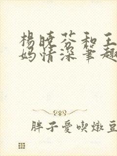 杨晓芬和王磊后妈情深笔趣阁