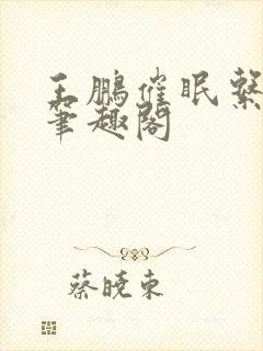 王鹏催眠系列新笔趣阁