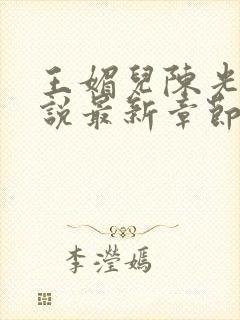 王媚儿陈光达小说最新章节更新时间
