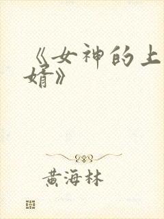 《女神的上门豪婿》