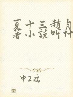 夏十三赵月荣原著小说叫什么名字